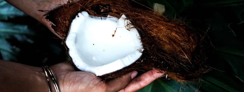 les bienfaits du sucre de fleur de coco