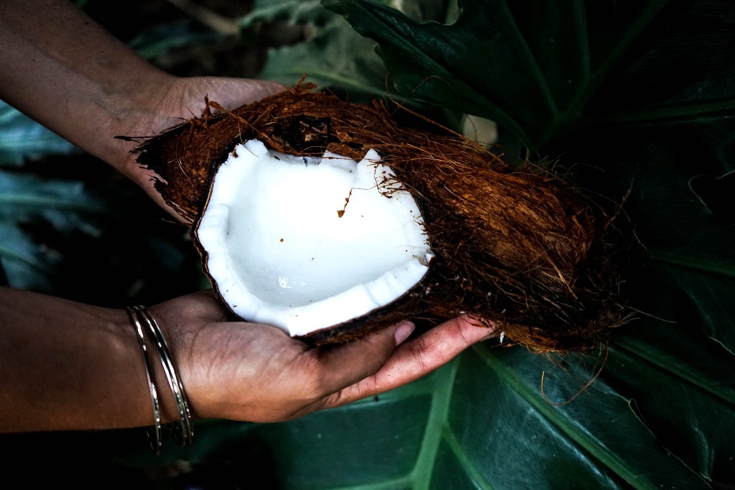 Sucre de coco : avantages et inconvénients